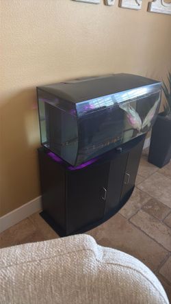 Koi Fish and Fish Tank included