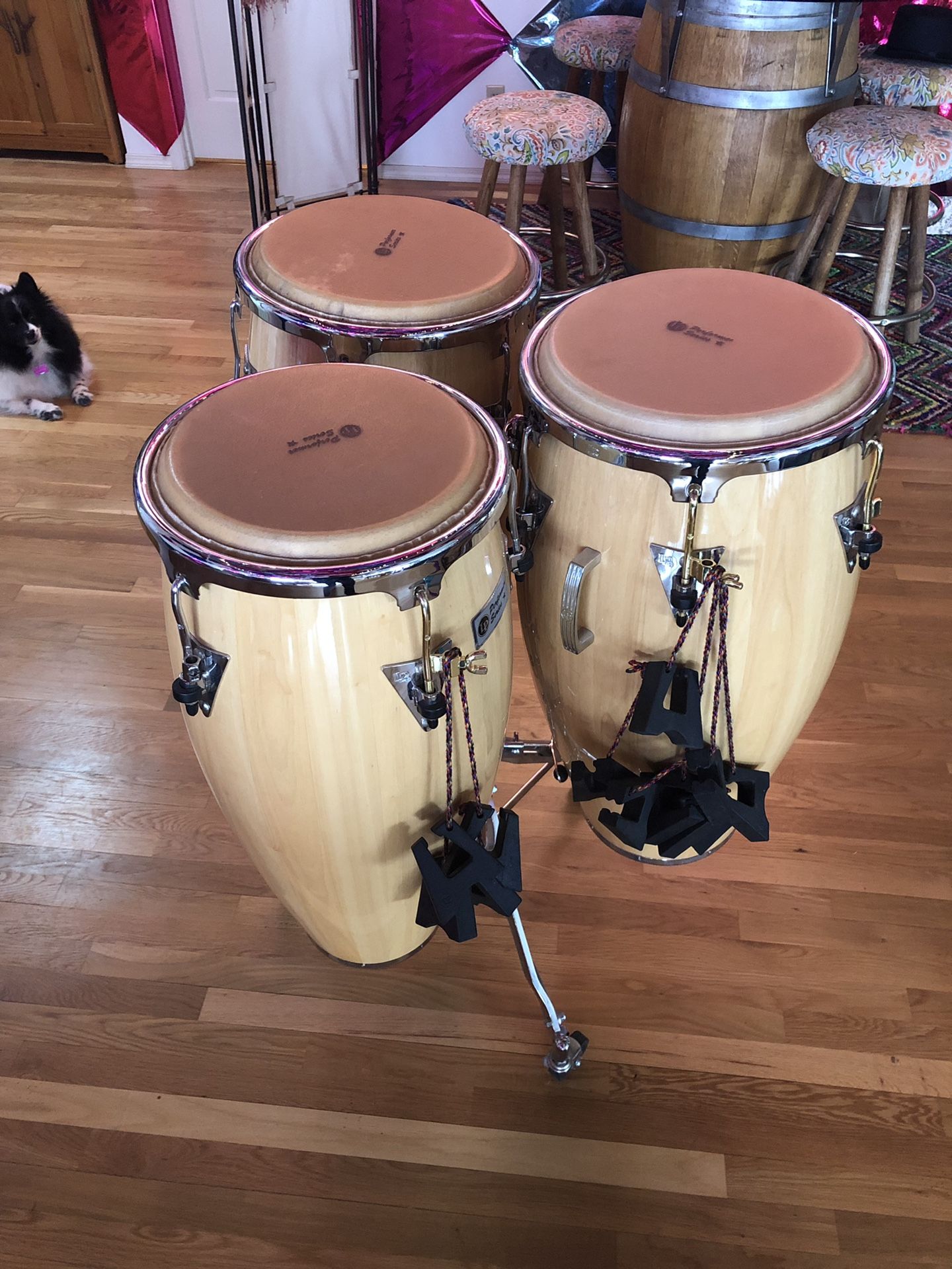 LP Performer Series 3-Piece Conga Drum Set /w Stand