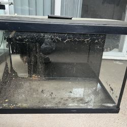 20 Gallon Tall Aquarium Tank