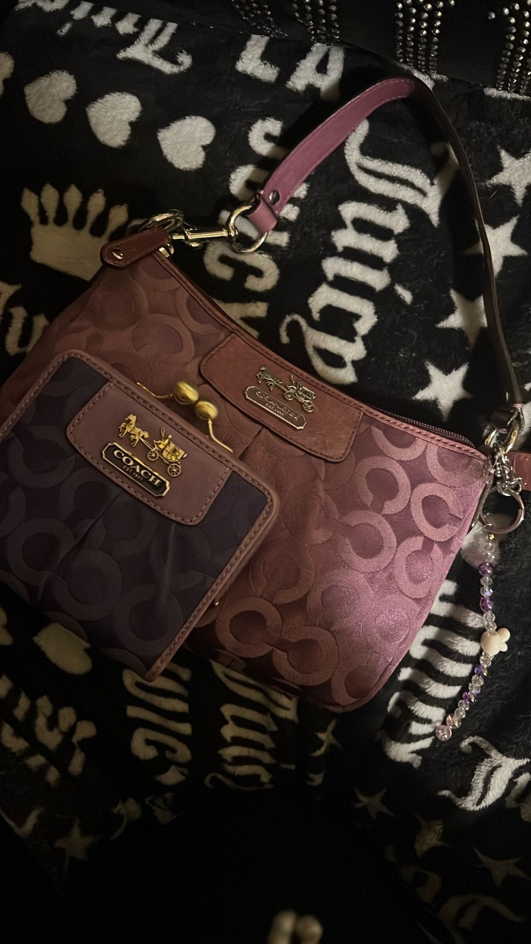 Coach Set Bag & Wallet