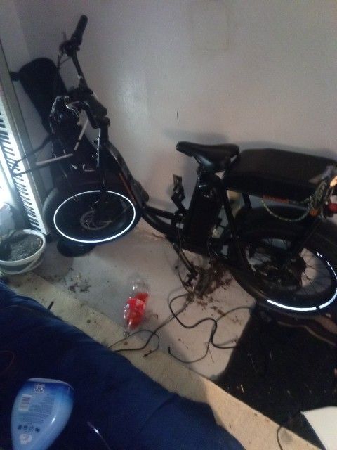 Rad Power E Bike