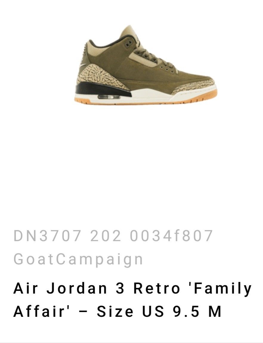 Jordan 3 Retro " Family Affair "