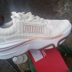 81/2 Pumas