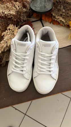Puma.