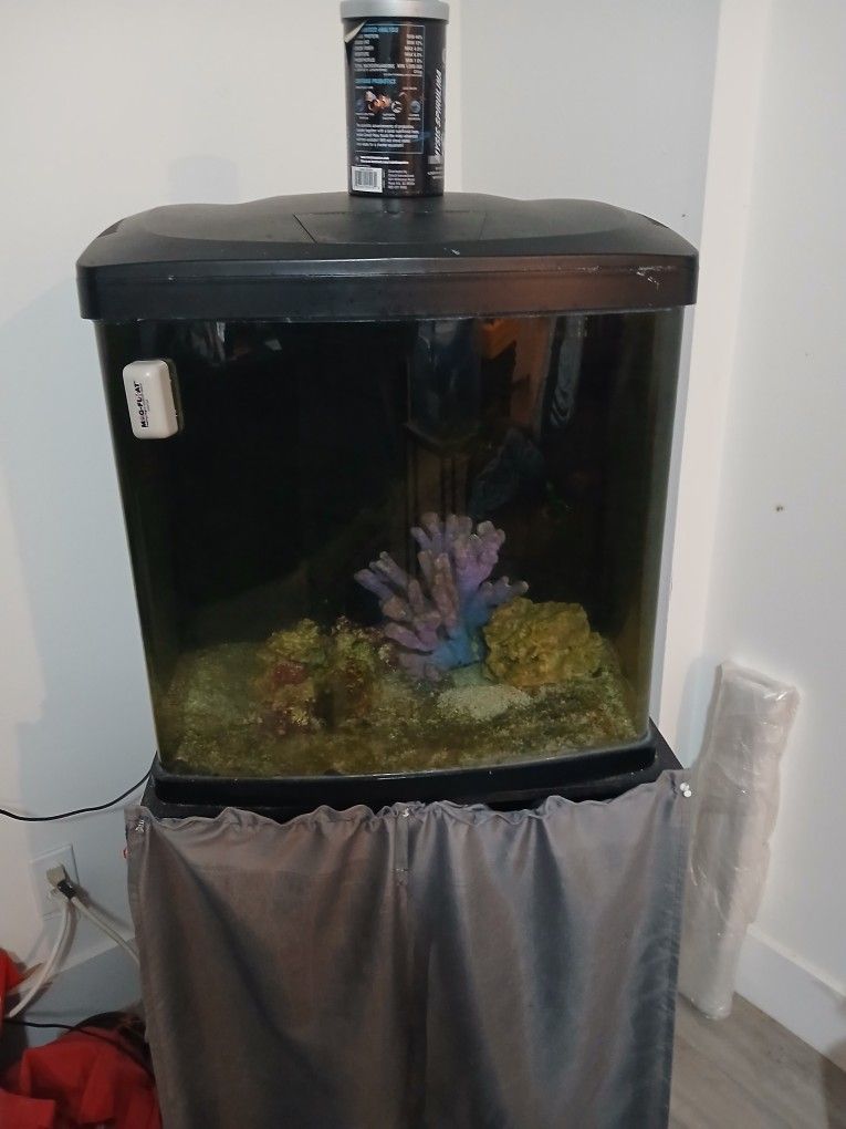 Aquarium Bio 32 Gallon