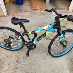 Guardian 24" Bike
