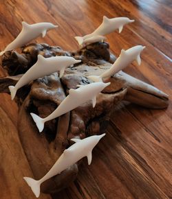 John Perry Dolphin art