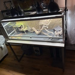75 Gallon Lizard Tank 250$