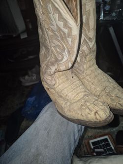 Rodeo  boots