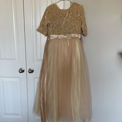 Sparkly Dress