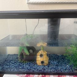 Fish Tank With Pump 