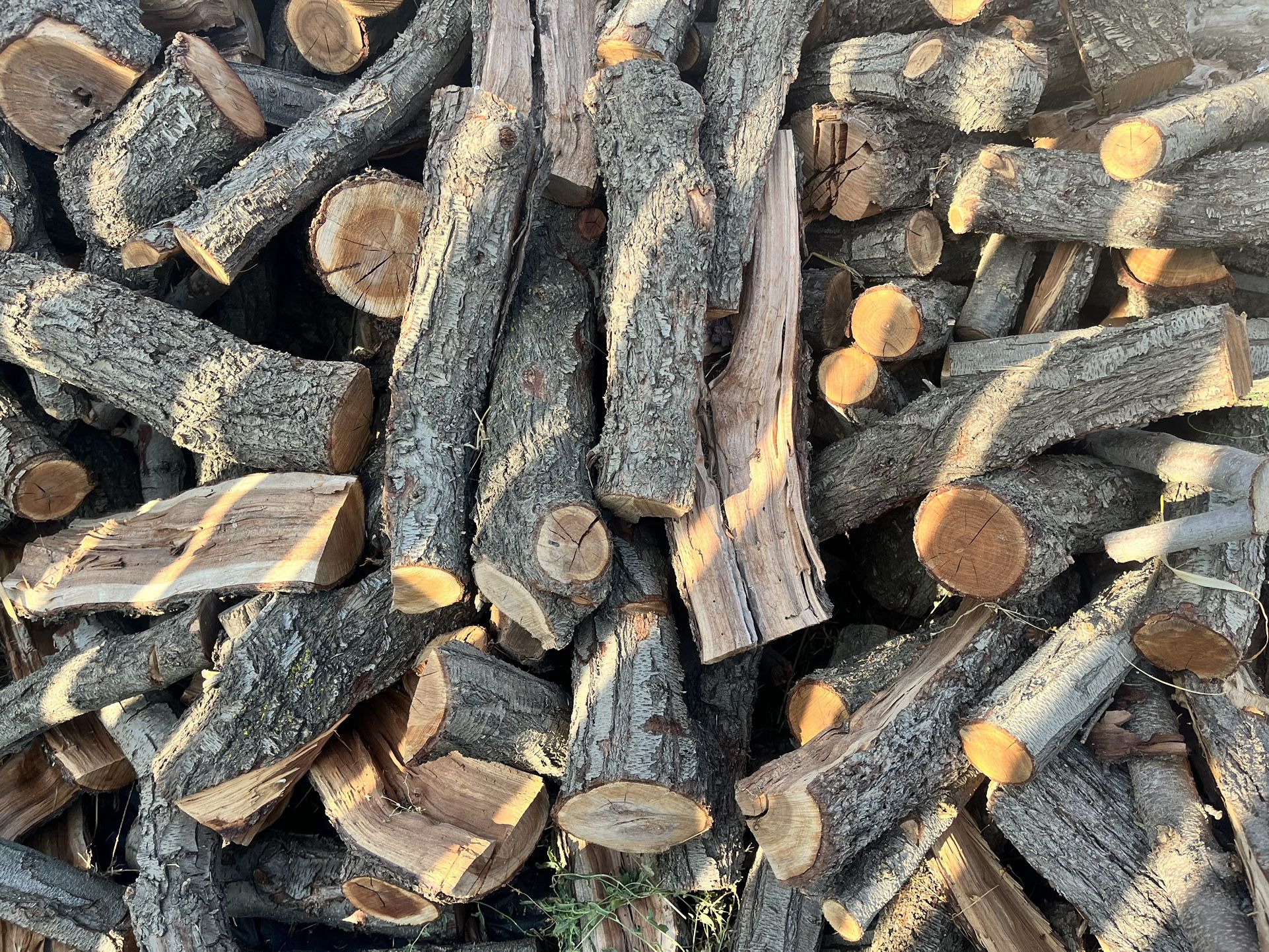 Leña.    Firewood 