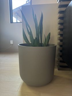 Grey Planter