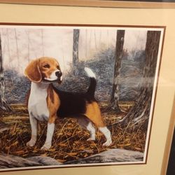 Previously Owned Andrew Chapman Framed Matted Art Print Beagle 