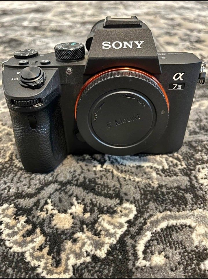 Sony A7III Camera