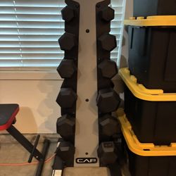 Dumbbell Set And Bench 