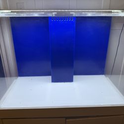 65 Gallon Reef-Ready Fish Tank w/ Sump & Stand – All-In-One Setup!