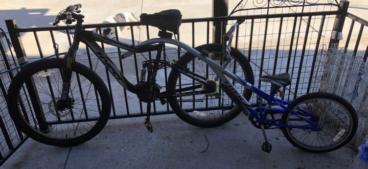 2 Bicycle Adult & Kid Trailer
