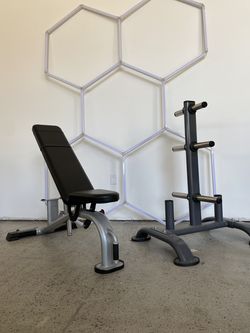 Nautilus Instinct Bench and Olympic Plate tree sold together for $900 