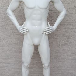Mens Mannequin $150 Each