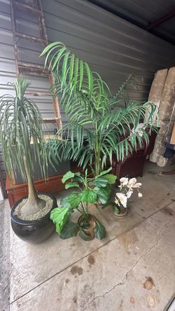 LOT of 6 Faux/Fake House Plants Large & Small