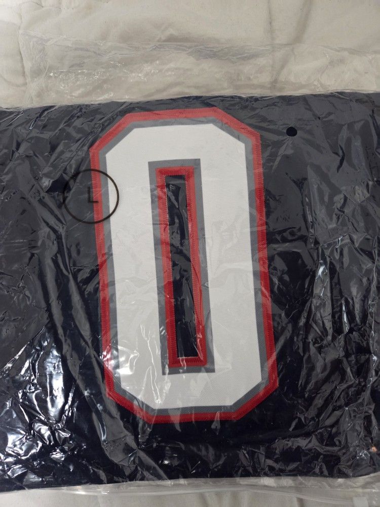 Large Patriots GONZALEZ Jersey