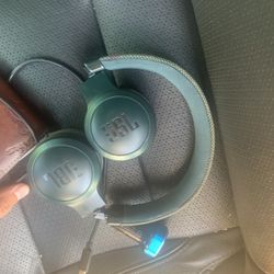 Jbl Headphone Works Great