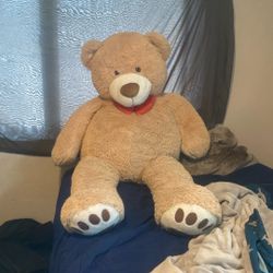Stuffed Teddy Bear 