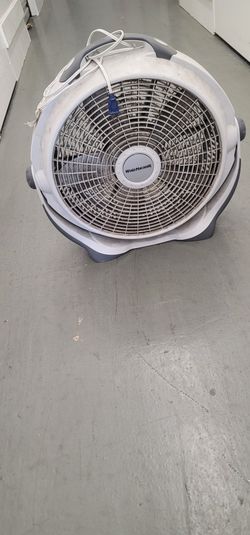 Fan 