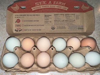 Farm fresh free range omelette starter kit
