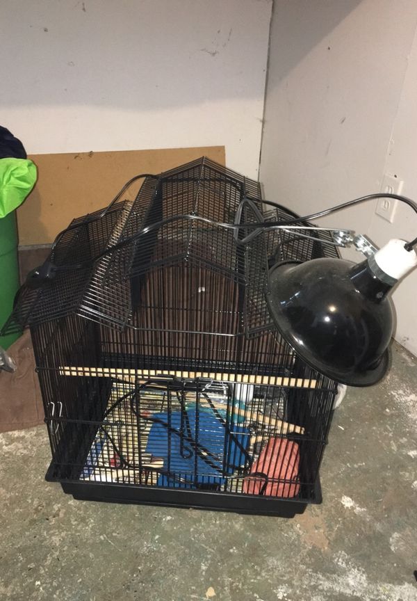 Do Sugar Gliders Need A Heat Lamp slidesharefile