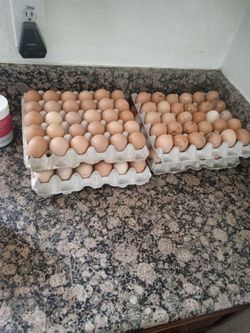Eggs For Sale