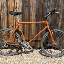 Vintage Specialized Rockhopper Comp 21–Speed Mountain Bicycle 