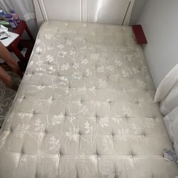 Free Mattress 