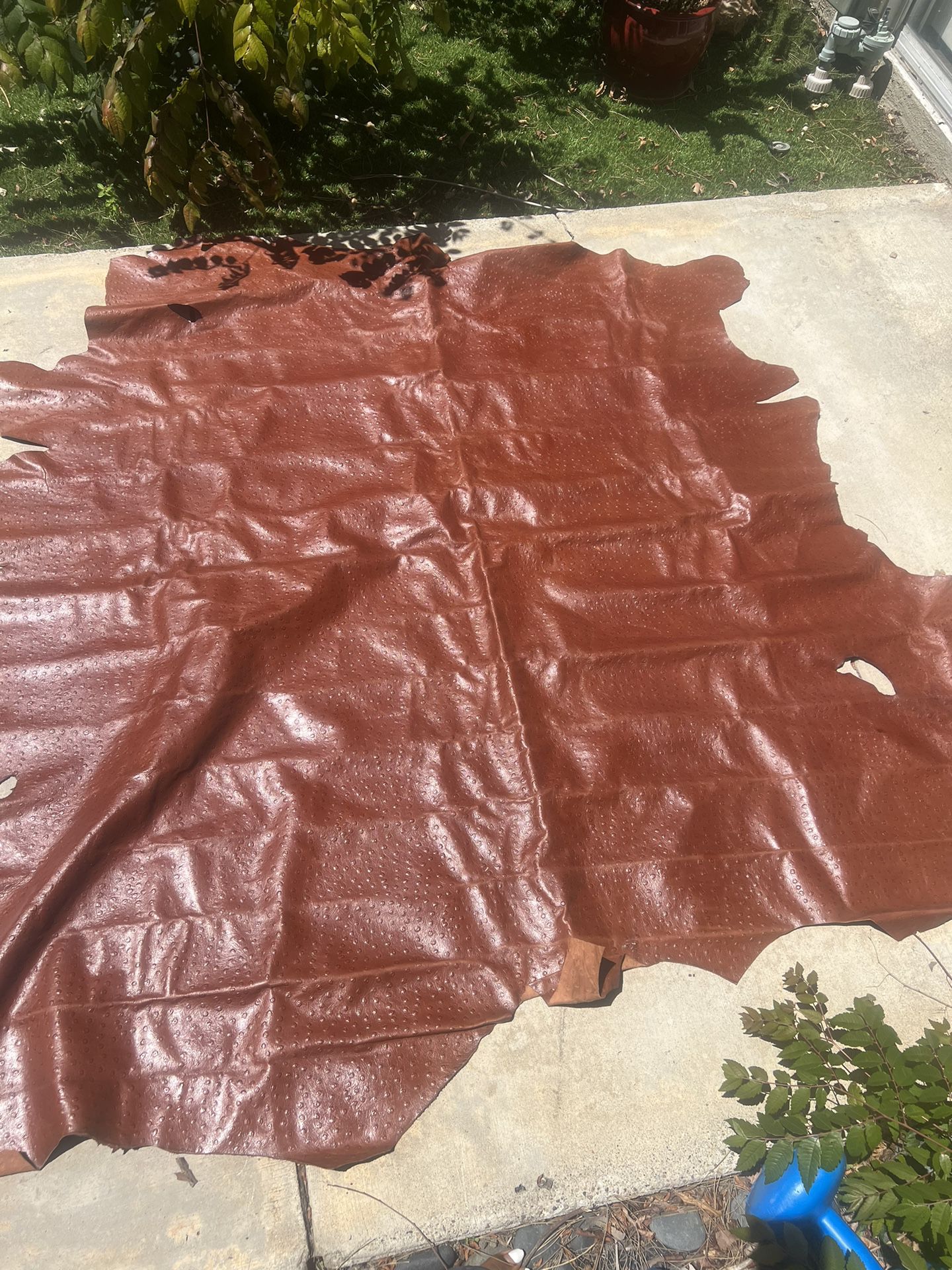 2 Large Ostrich leather hide Genuine ostrich leather Tanned skin