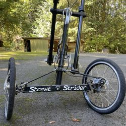 Street Strider Elliptical Style Bike