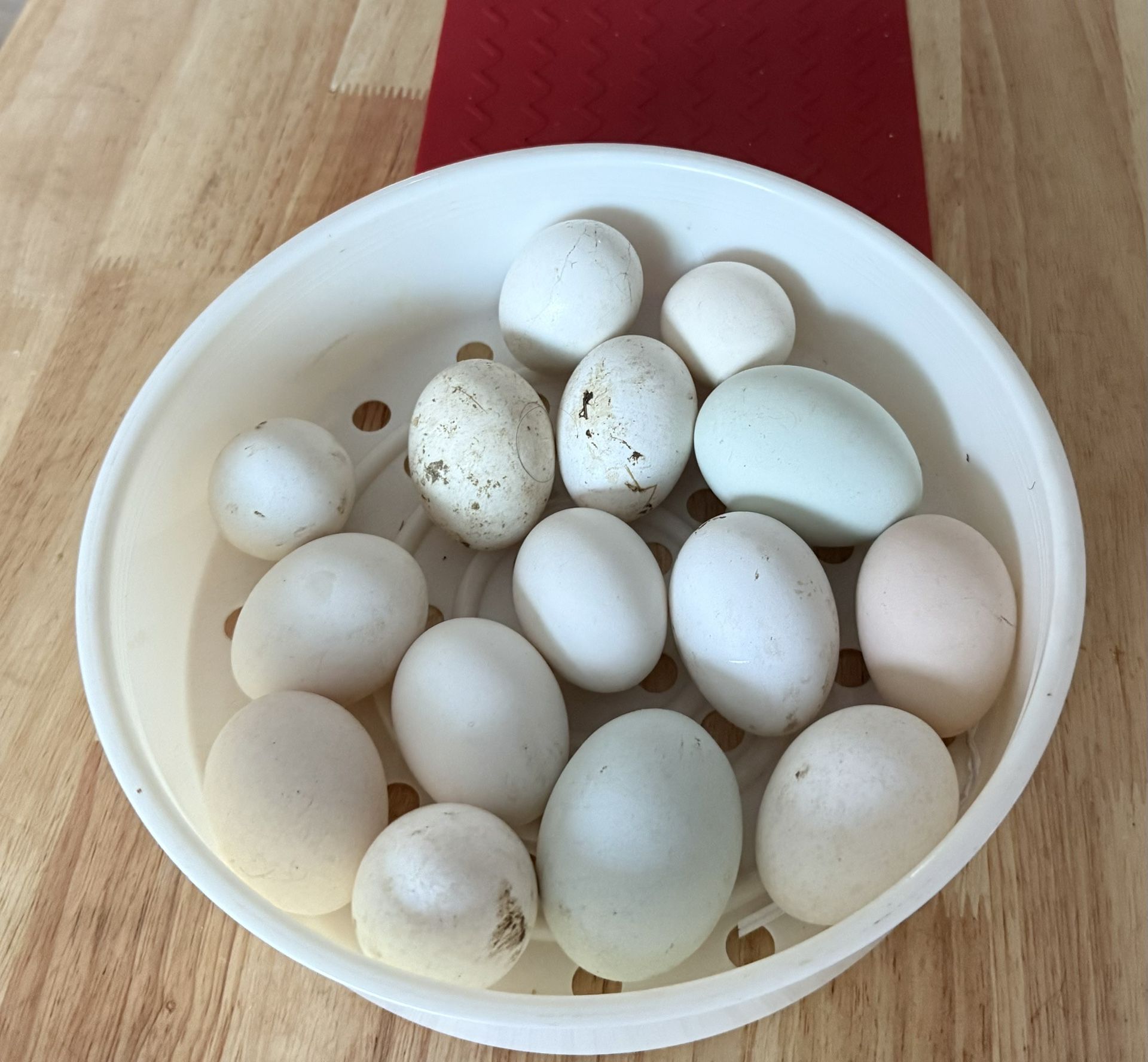Fresh Eggs Daily 