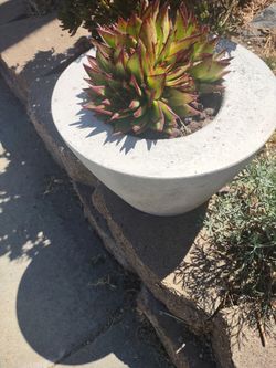 Planter, Concrete,