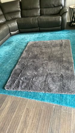 Soft Area Rug 4 X 8 ft Gray