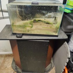 10 Gallon Aquarium 
