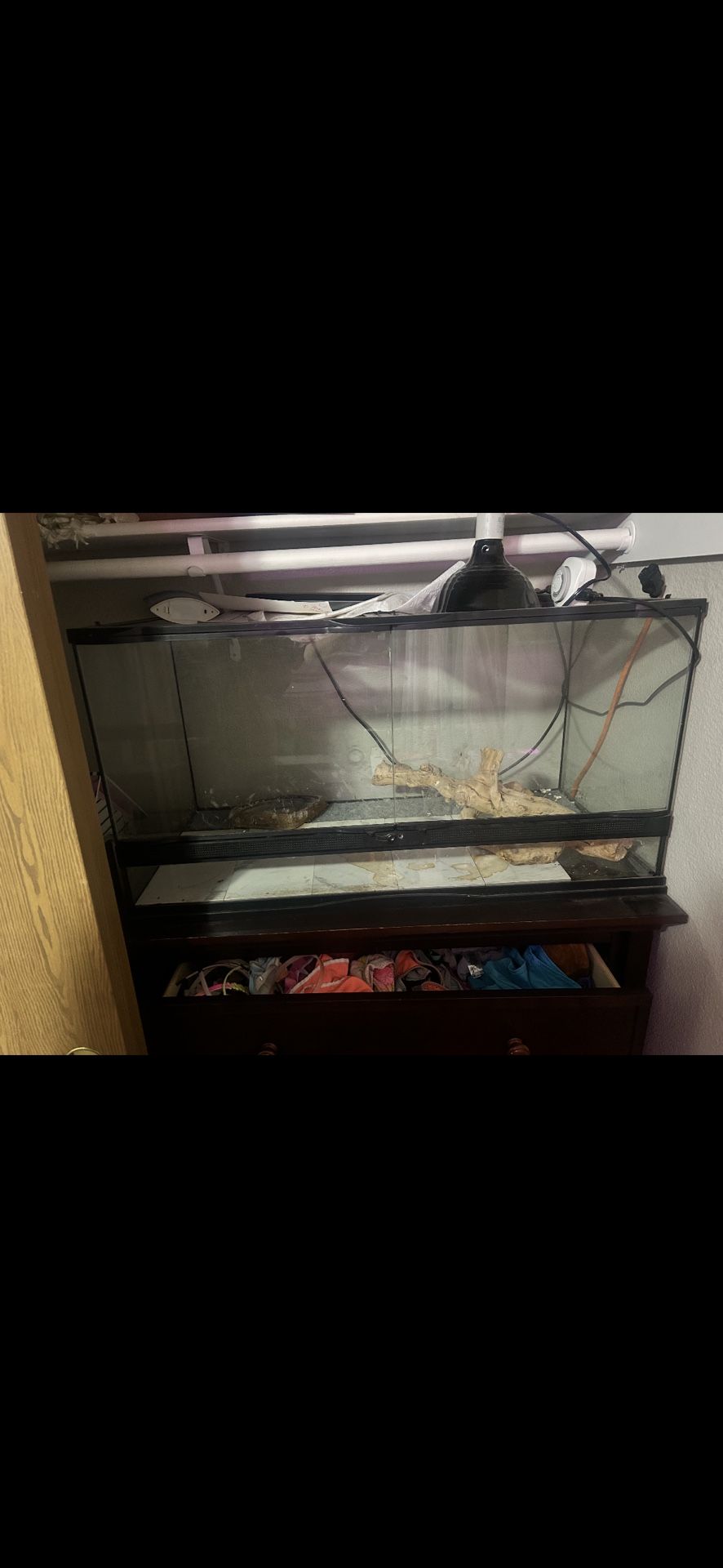 Terrarium