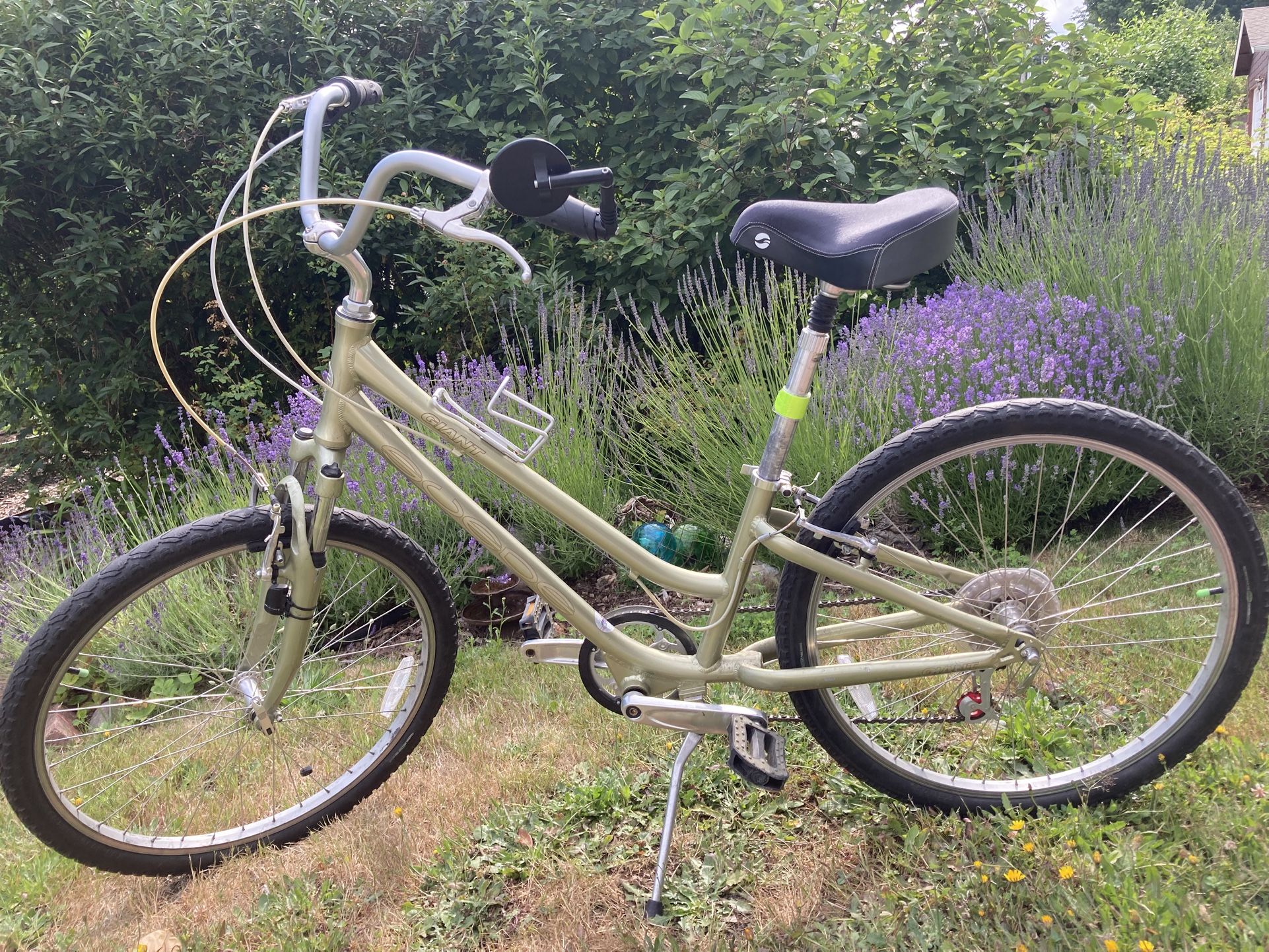 Giant Bike - Excellent Condition