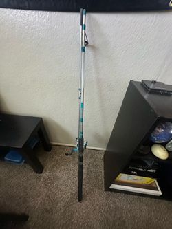 Saltwater fishing pole setup Shakespeare