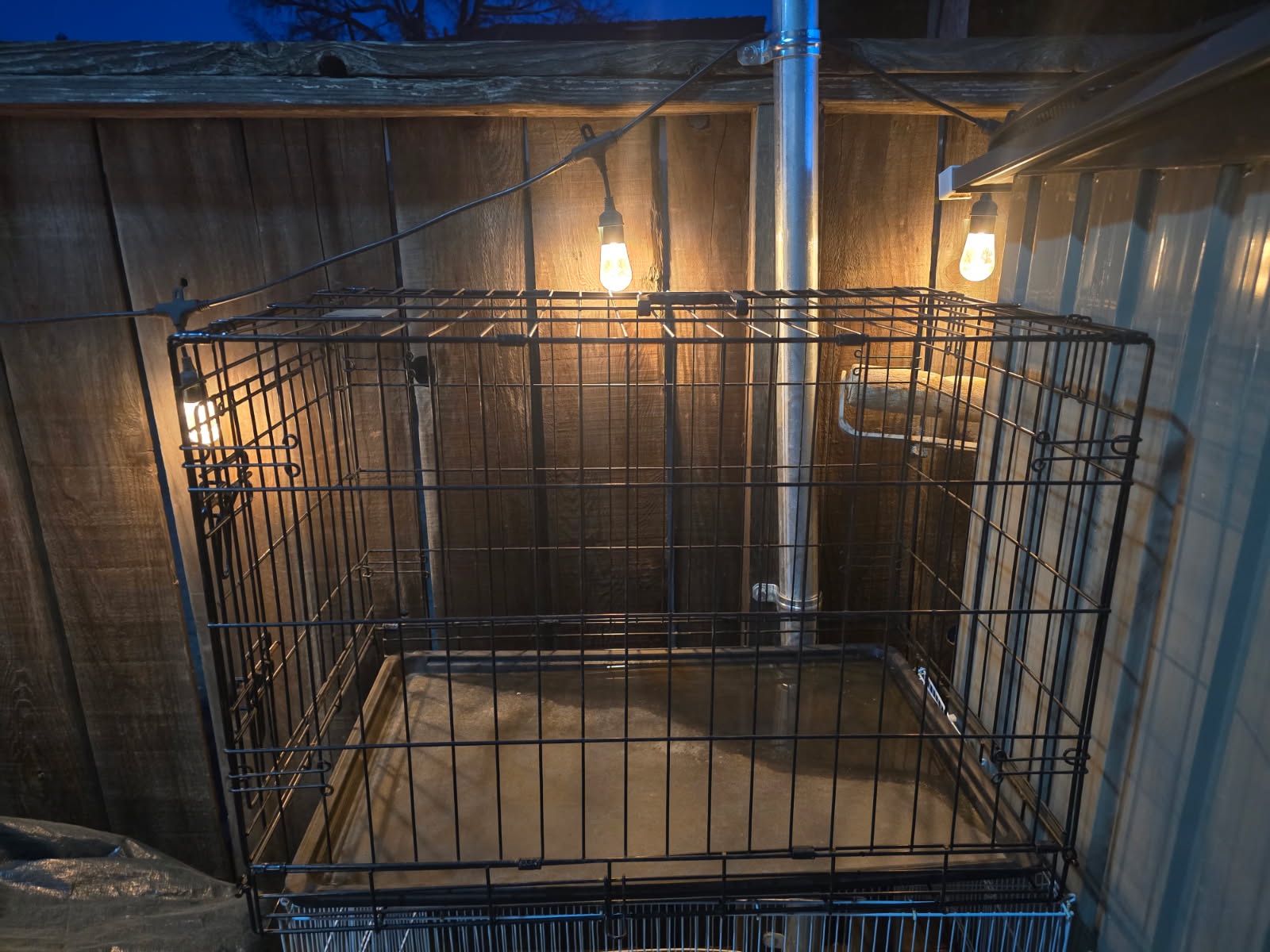 Dog Crate