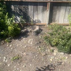 Stump Grinding 