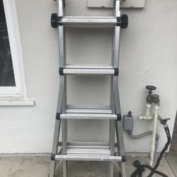 Telescoping Ladder