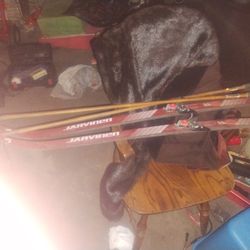 Cross Country Skis / Poles