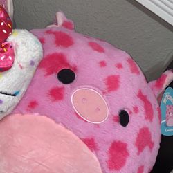 Gwendle Squishmallow 