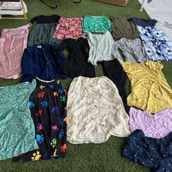 33 Pieces Plus Size XL Bundle Clothes Lot Very Good Conditions 2 Full Bags $40 Price Firm 