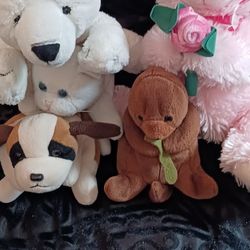 Plush Animal toys